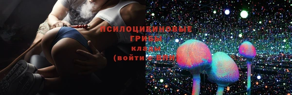 ECSTASY Баксан