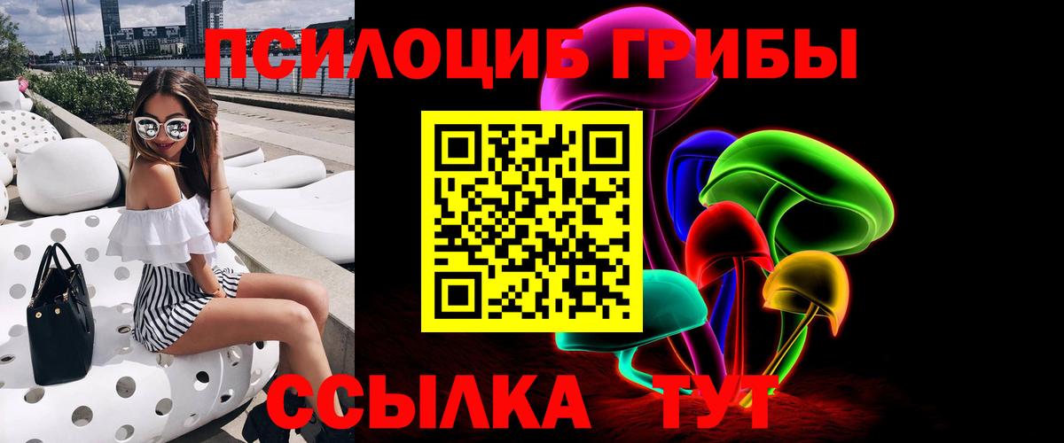 Псилоцибиновые грибы Psilocybine cubensis  Вход с VPN  Вольск  Галлюциногенные грибы Cubensis 